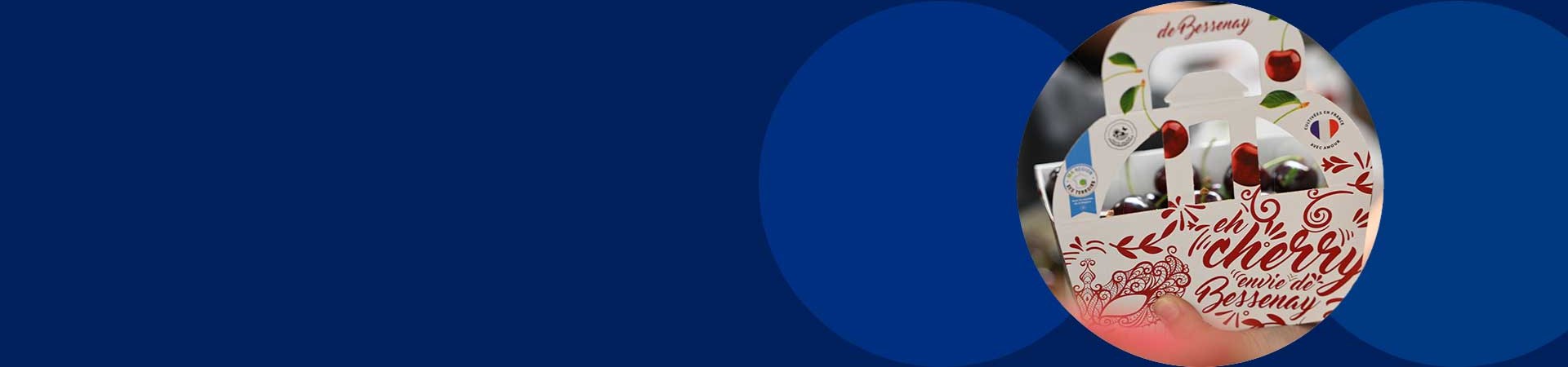 Chambe-Agri-Fruits Case Study