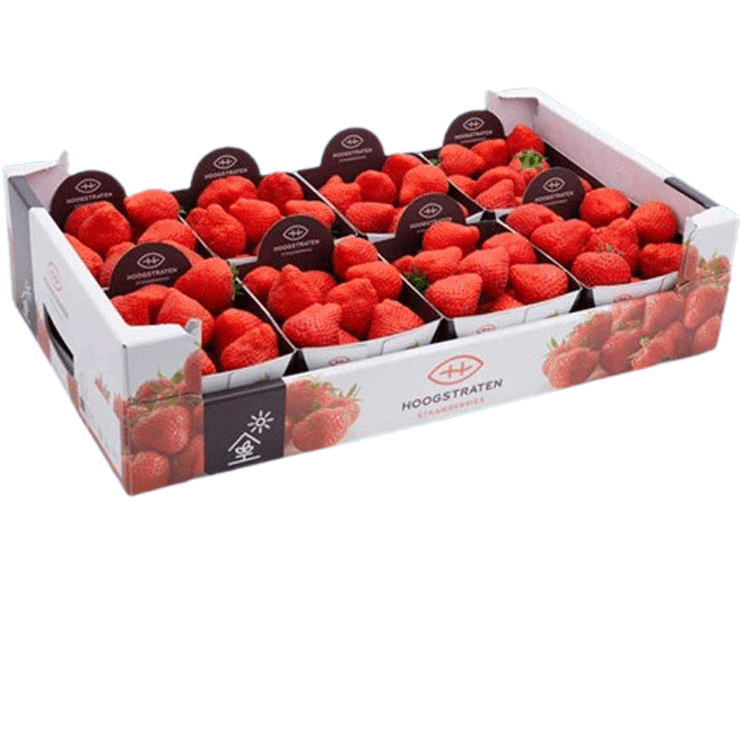 Fresh produce tray, tray packaging, cardboard trays