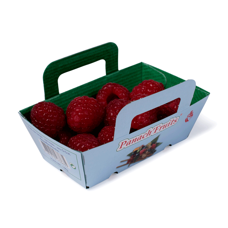 strawberry packing boxes