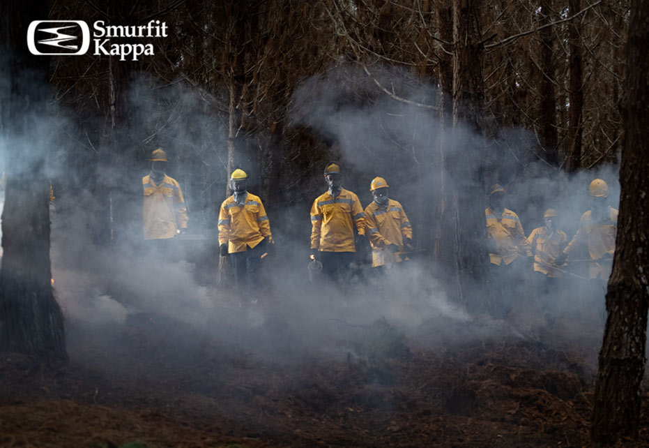 6 ações para evitar incêndios florestais