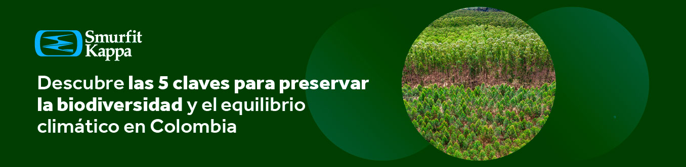 10-beneficios-de-plantaciones-forestales