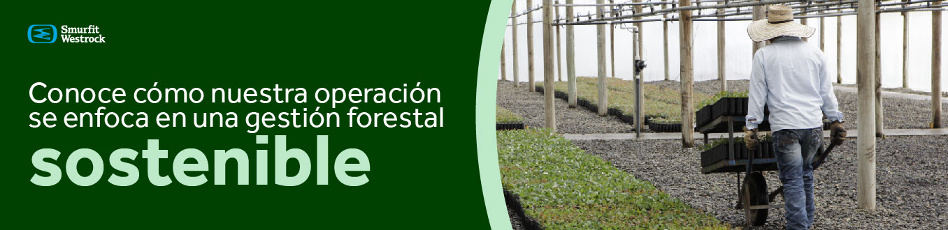 gestion-forestal-sostenible