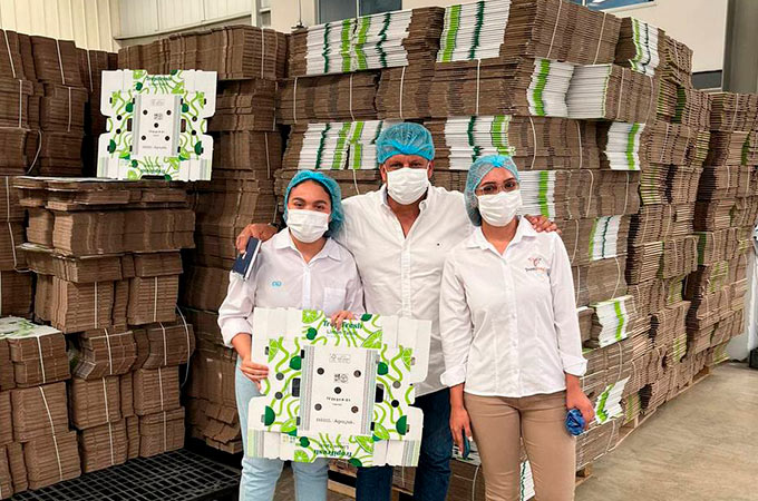 Descubre cómo Smurfit Westrock ayudó a TropiFresh a superar los retos de exportación con un empaque innovador y sostenible que eliminó el plástico de un solo uso, redujo sus costos  y mejoró la calidad del mango exportado, consolidando su posición en los mercados internacionales de Estados Unidos y Europa.