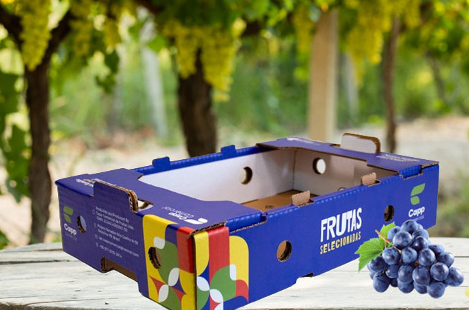 Helping Cappellaro fruits switch to paper-based packaging, preventing 63 tonnes of CO2 emissions per year