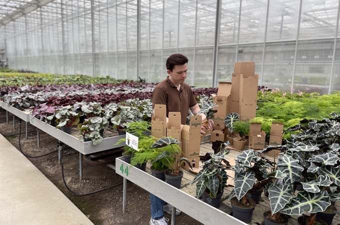 Ontdek hoe onze innovatieve e-commerce-verpakkingsoplossing voor planten House of Botanique heeft geholpen een revolutie teweeg te brengen in de online verkoop van planten