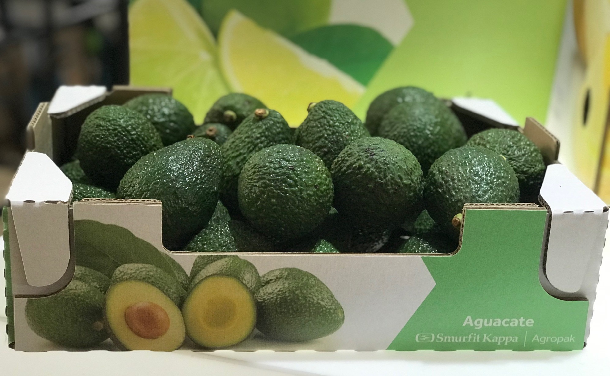 Aguacate Smurfit Kappa