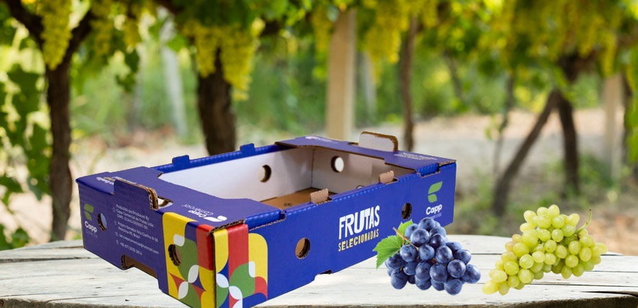 trays, cardboard trays, grape packaging, fruit packaging