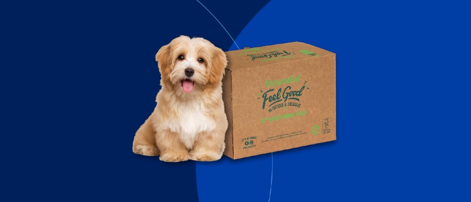 Pet product packaging