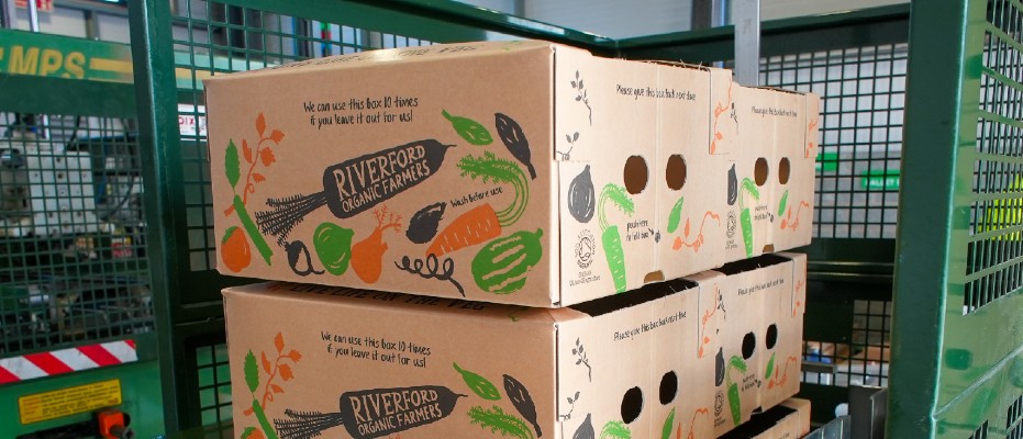 Reusable vegetable cardboard boxes