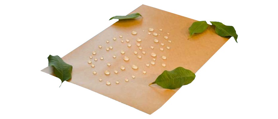 Water-repellent paper