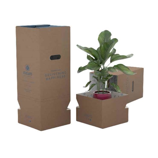 Packaging for Plants