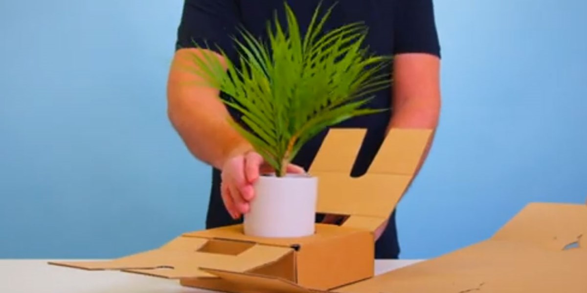 Packaging for Plants demo