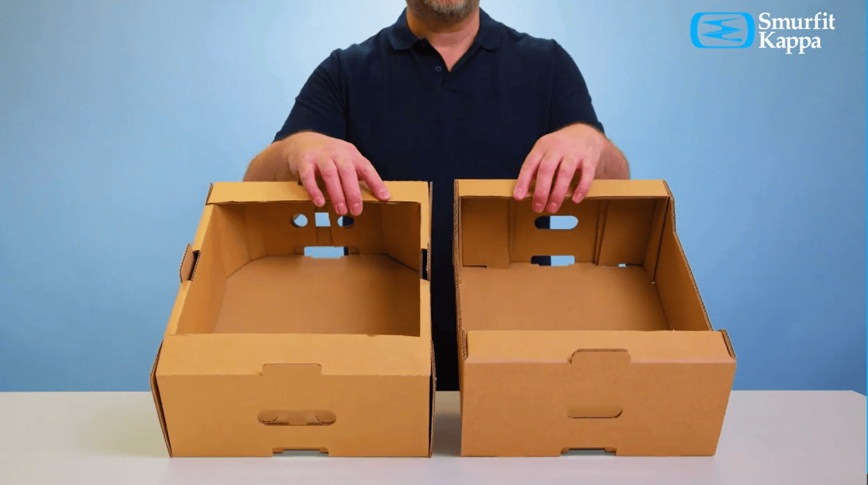 Cardboard fresh produce trays