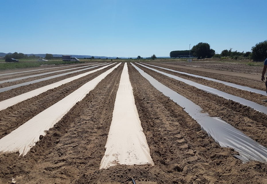 AgroPaper in use in a field